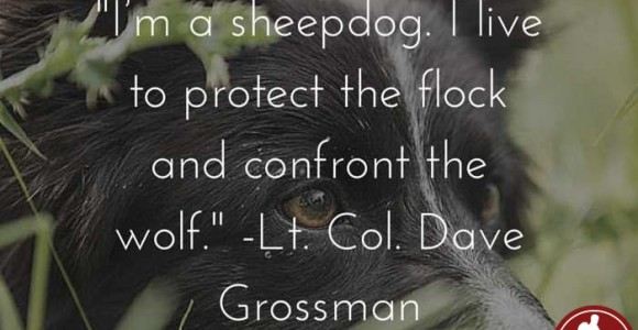 sheepdog