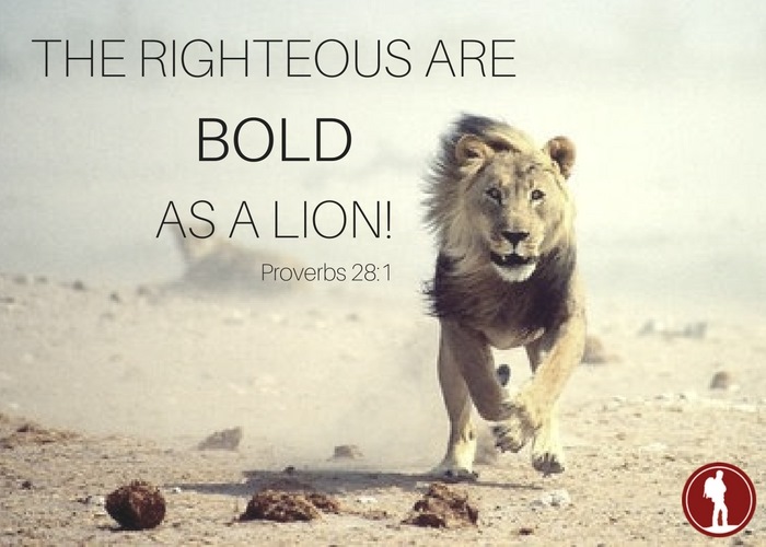the righteous are bold as a lion